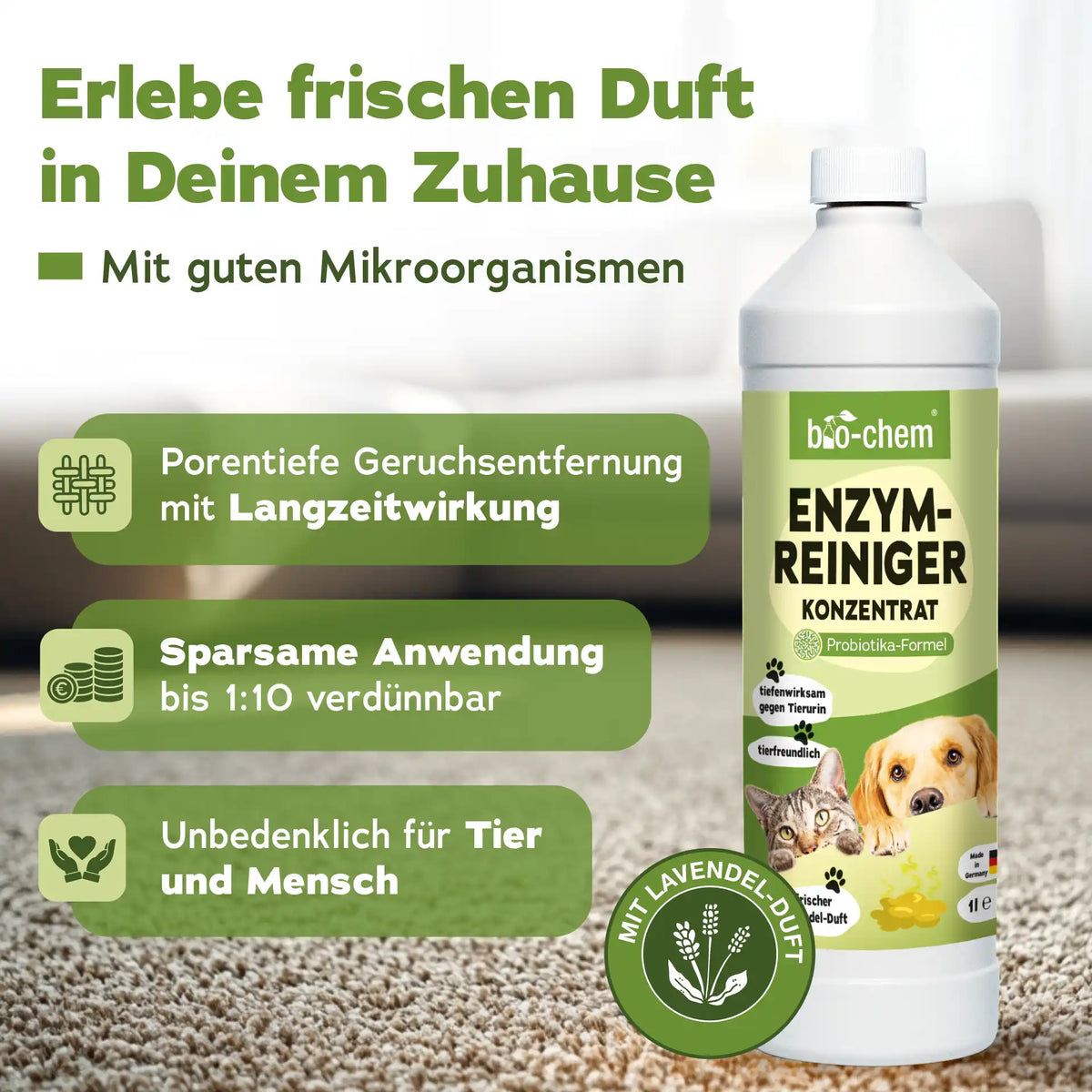 Vorteile Enzymreiniger Katzenurin Hundeurin
