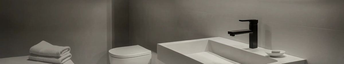Bannerbild Kollektion Toilette Abfluss