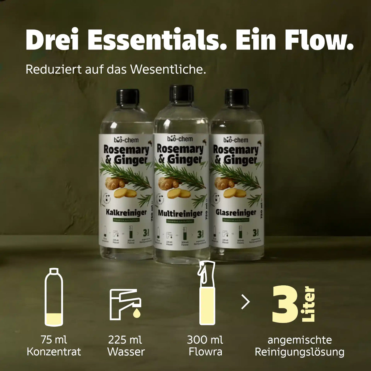 Rosemary Ginger Konzentrate