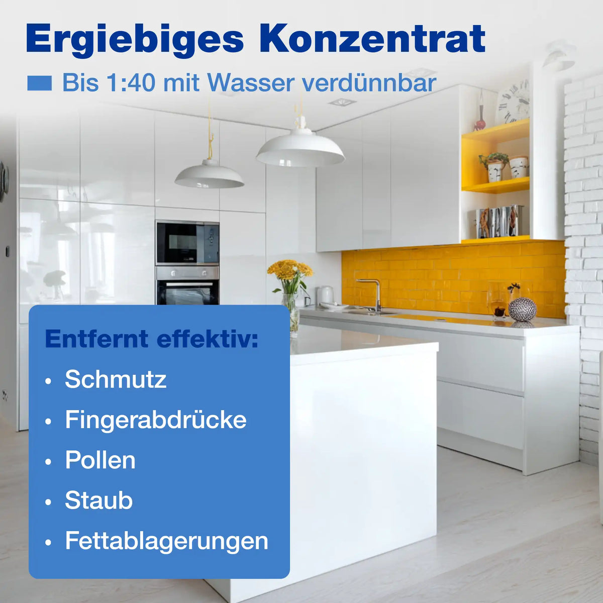 Allzweckreiniger Konzentrat (1 L + Mischflasche)