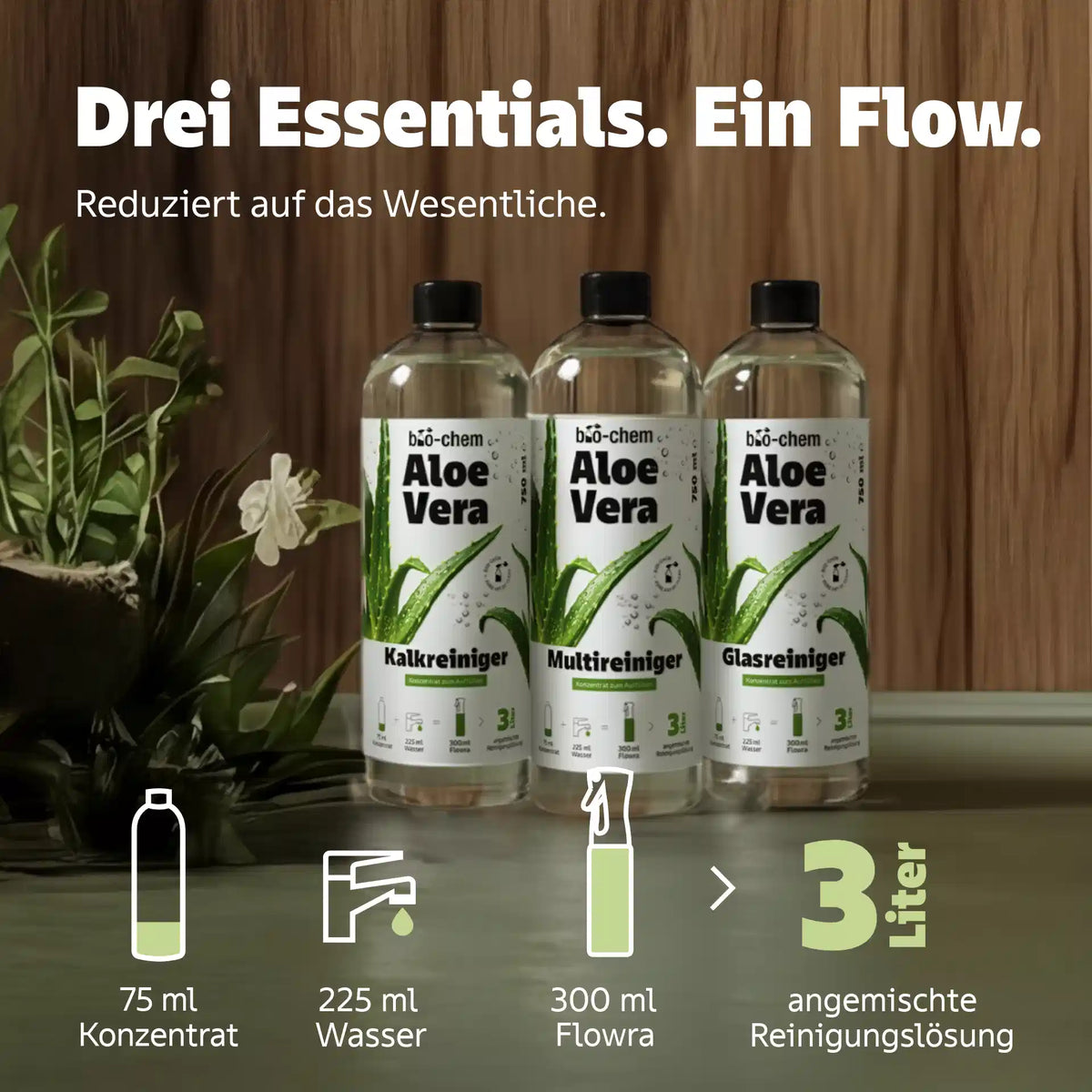 Flowra Aloe Vera Konzentrate