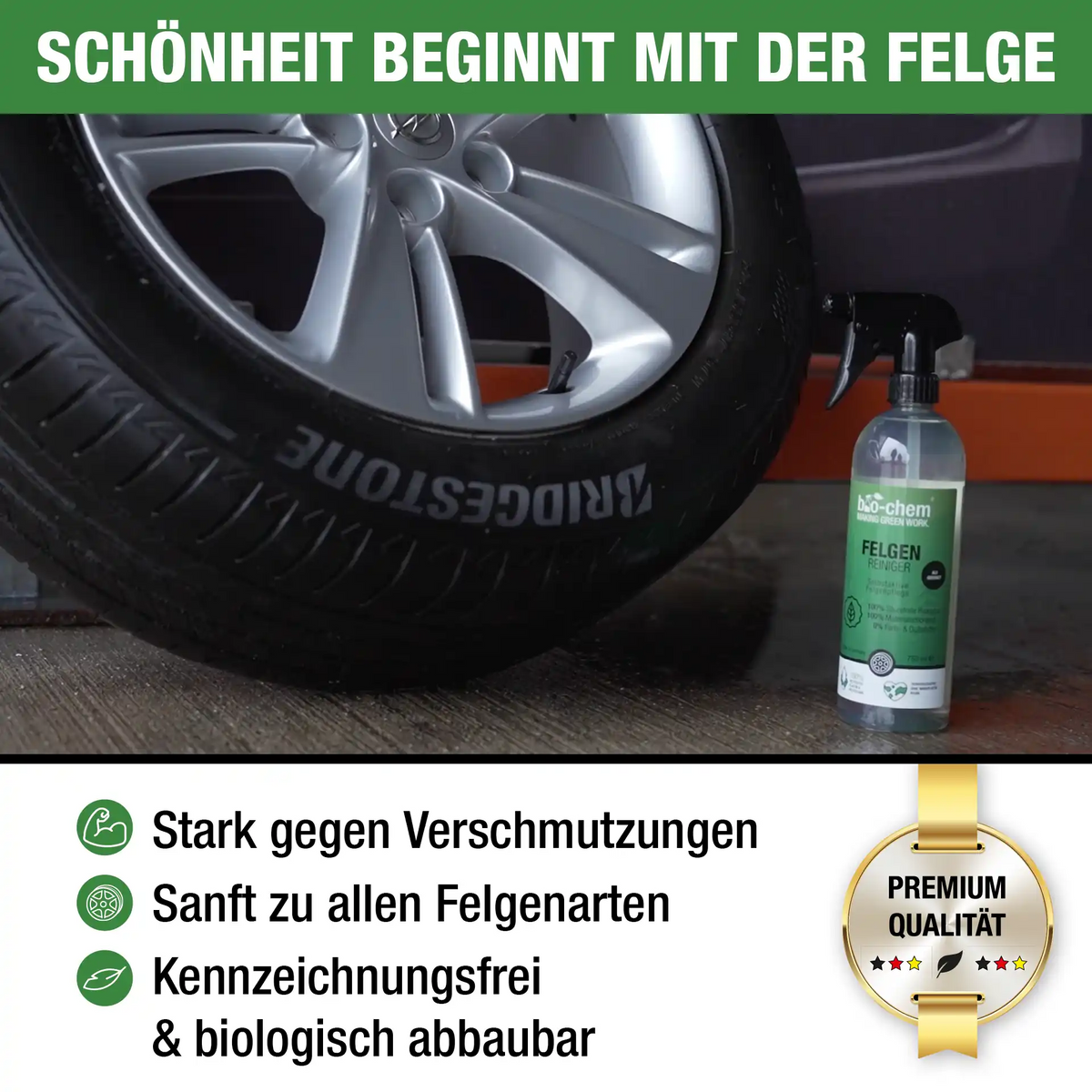 Felgenreiniger (750 ML + Zubehör)