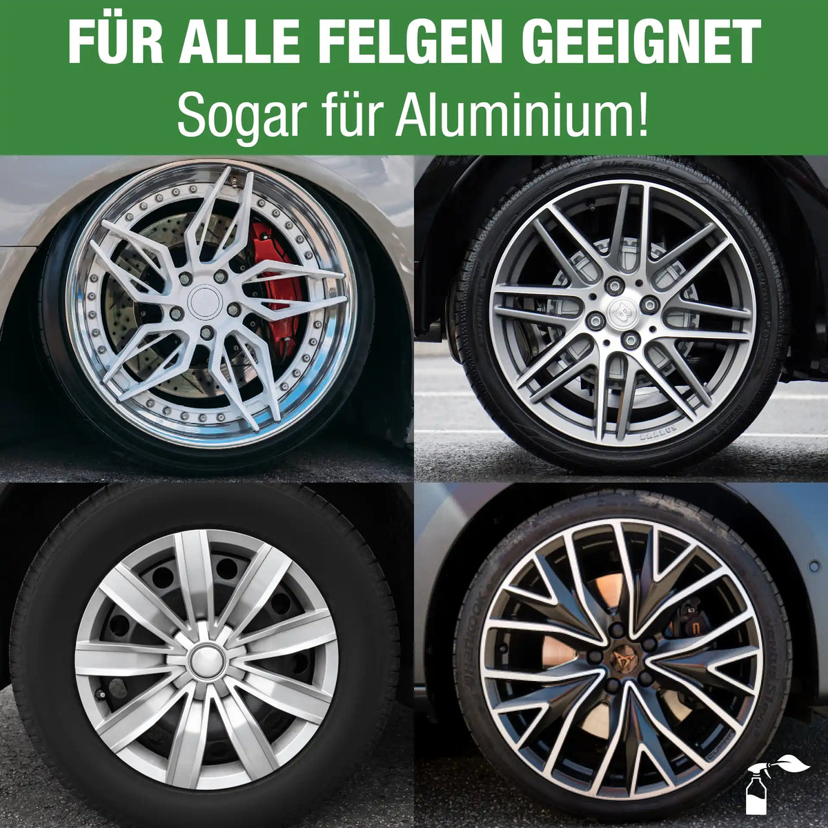 Felgenreiniger (750 ML + Zubehör)