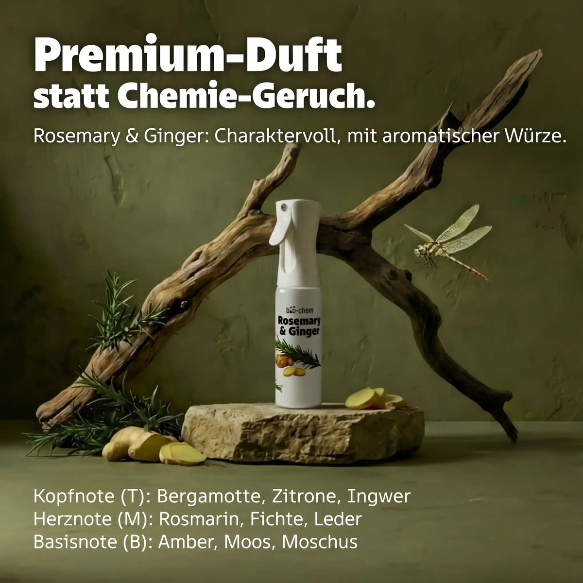 rosemary ginger duft