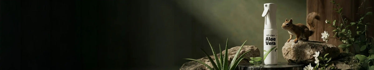 The Flow of Clean - Aloe Vera